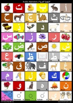 Arabic Alphabet Chart by I Know My ABC