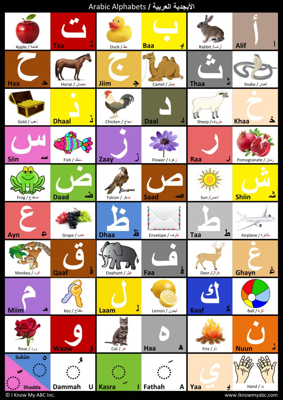 Arabic Alphabet Chart by I Know My ABC, 9780997139556