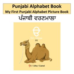 Punjabi Alphabet Book: My First Punjabi Alphabet Picture Book