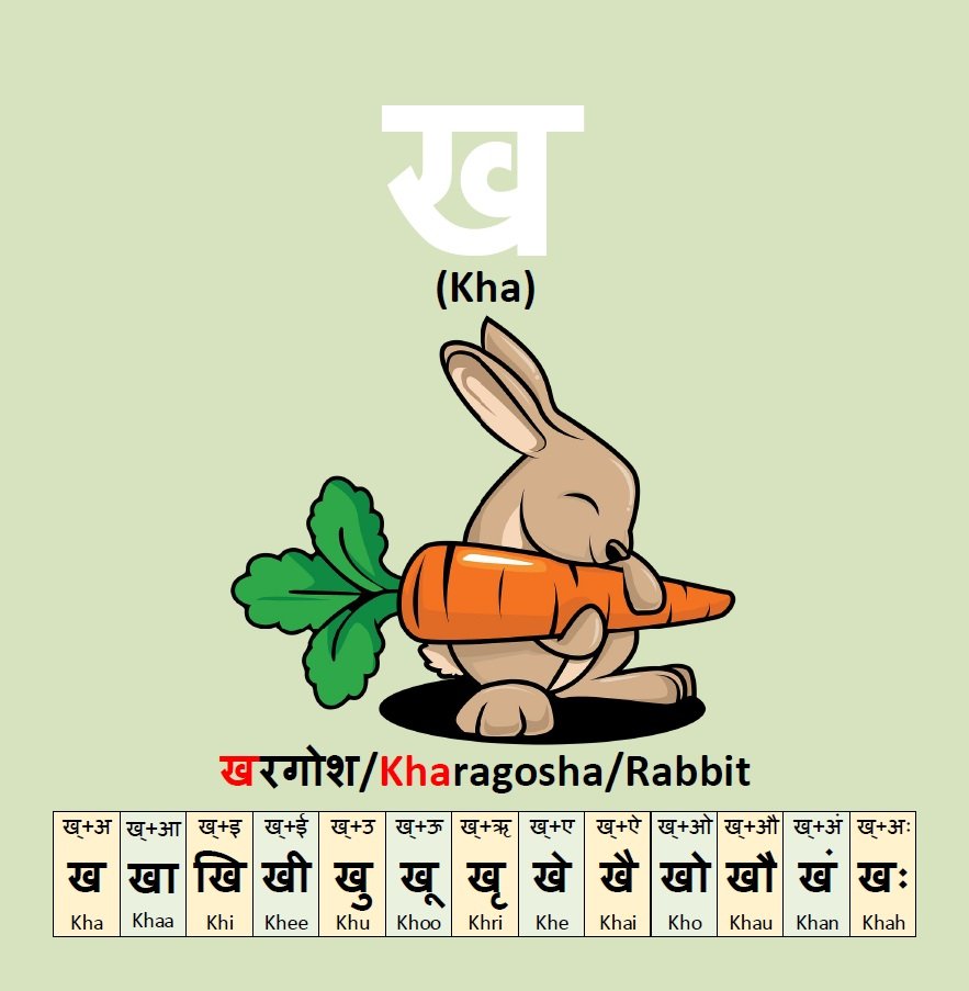 Hindi Alphabet Book: My First Hindi Alphabet Picture Book - Image 6