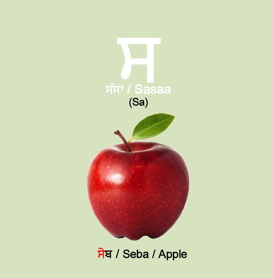 Punjabi Alphabet Book: My First Punjabi Alphabet Picture Book - Image 6