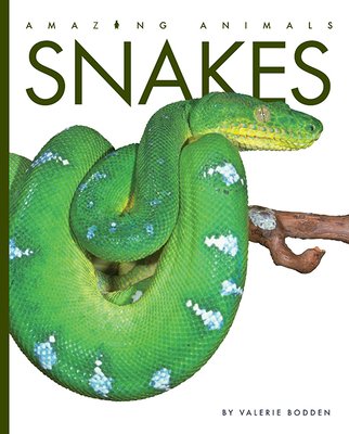 Snakes – Educational Book, 9781628327724