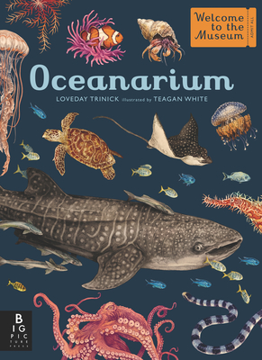Oceanarium: Welcome to the Museum Hardback Book by Loveday Trinick ...